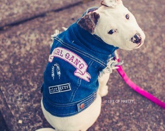 Denim Dog Vest / Denim Dog Jacket / Dog Vest / Feminist patch / Dog Denim / Girl Gang Patch/ Dog Jacket Denim/ Metal Dog / Cool Dog Jacket