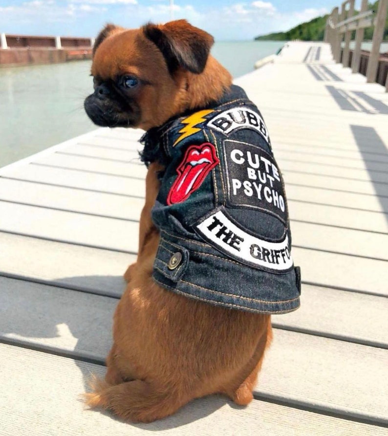Dog Jacket / Dog Vest / Custom Dog Jacket / Custom Dog Vest / Etsy