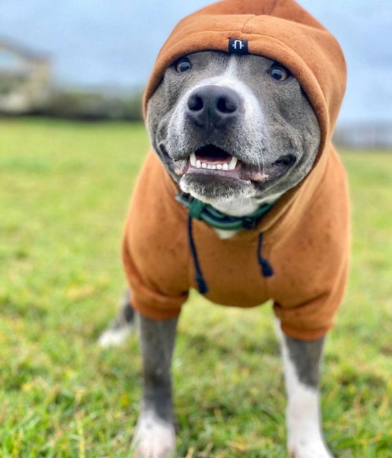 rijstwijn Beurs lexicon Tan Dog Hoodie Dog hoodie Dog Sweatshirt Dog Coat Large - Etsy België