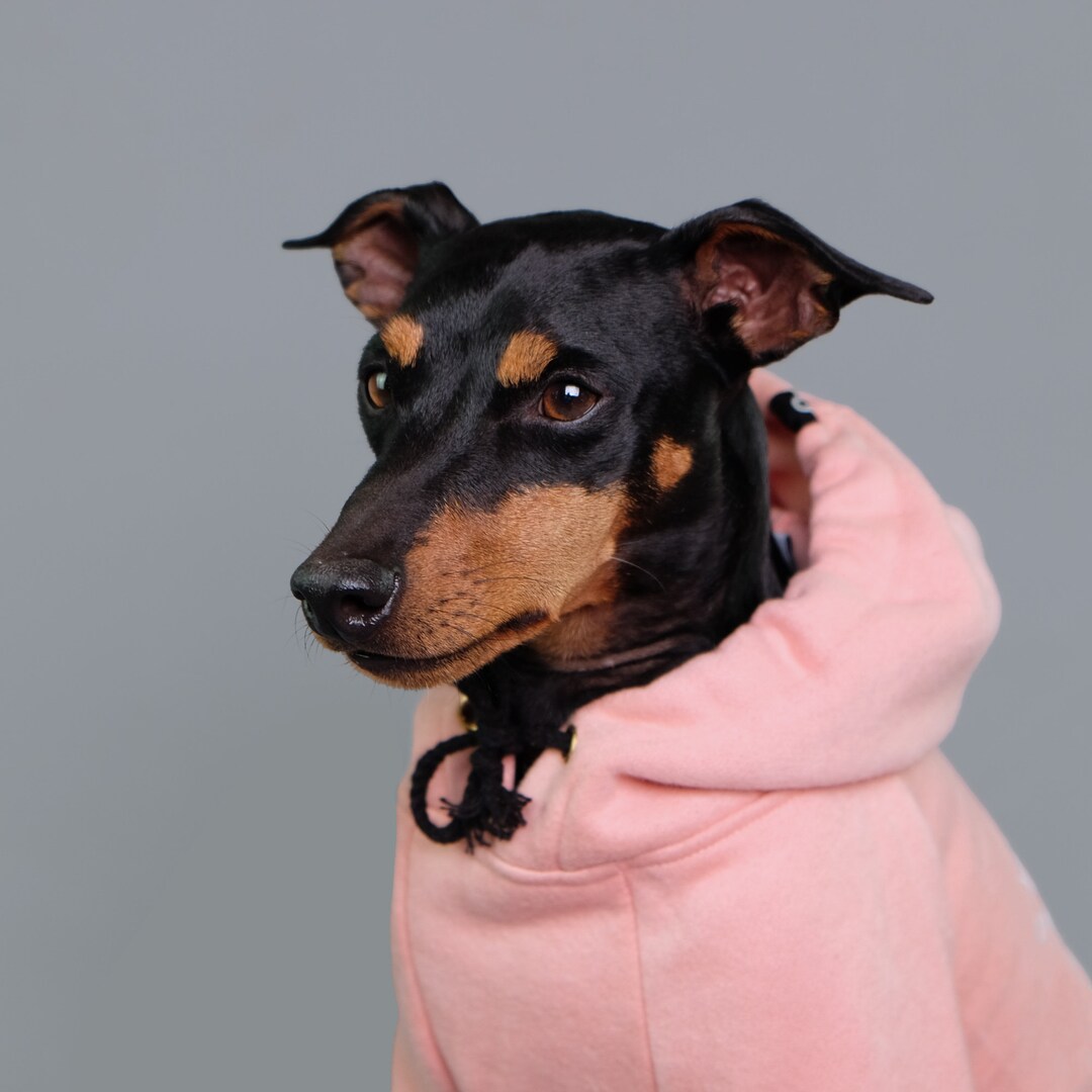 Pink Dog Hoodie Dog Hoodie Large Dog Hoodie Dog Sweatshirt Etsy