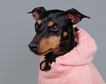Pink Dog Hoodie, Dog Hoodie, Large Dog Hoodie, Dog Sweatshirt, Small Dog Hoodie, PInk Dog Coat, Cool Dog Hoodie,