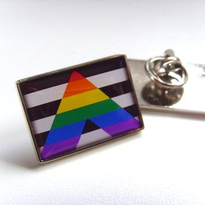 May include: A silver pin with a black and white striped background and a rainbow colored triangle in the center. The pin is designed to represent the asexual pride flag.
