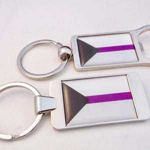 May include: Two silver keychains with a purple and black asexual pride flag design. One keychain has a bottle opener attached.