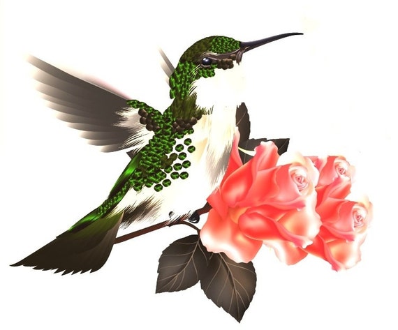 Colibri Tatouage Temporaire