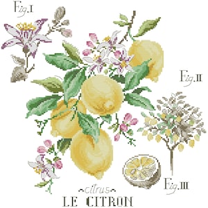 Puede incluir: Una ilustración botánica de un limonero con el texto "LE CITRON" y "citrus" escrito debajo. La imagen está dividida en tres secciones etiquetadas "Fig. I", "Fig. II" y "Fig. III".