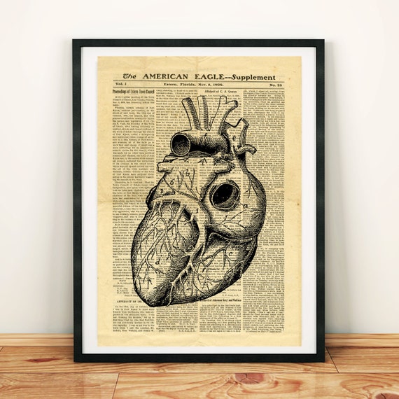 Human Heart Antique Anatomy Vintage Printable Collage Old | Etsy