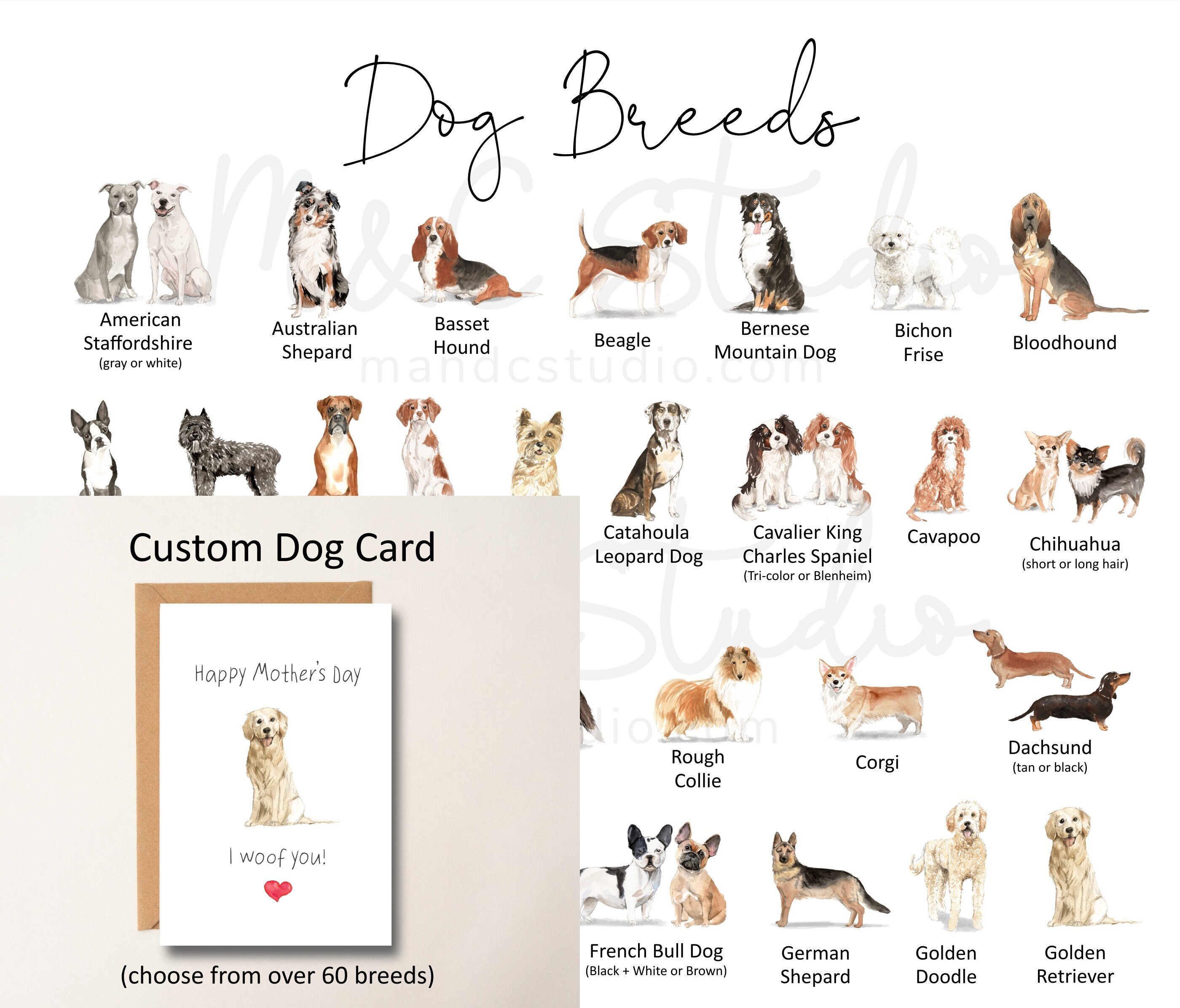 What Dog Breed Am I Based On My Zodiac Sign