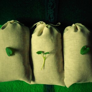 Puede incluir: Tres bolsas de tela beige con hojas verdes cosidas en la parte delantera. Las bolsas están alineadas horizontalmente.