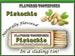 Pistachio Flavored Toothpicks - 70+ Flavors! Pistachio Green, Pistachio Wedding, Pistachio Shell, gifts under 10, 15, 20, 25, Candy 