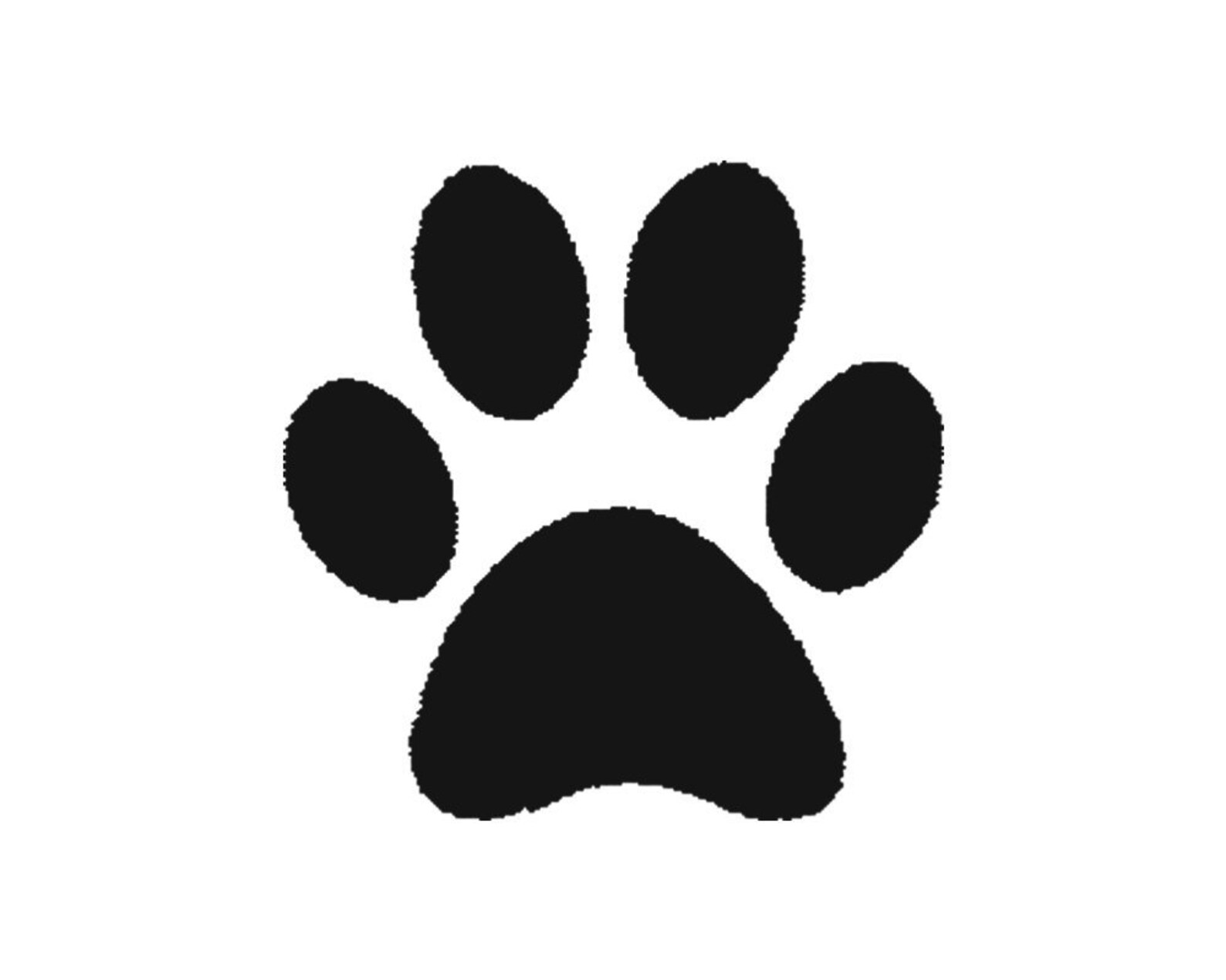 Кошачий след