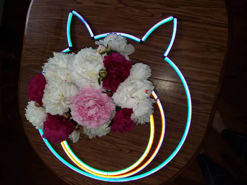 May include: A bouquet of white and pink peonies and red roses arranged inside a neon light shaped like a cat's head.