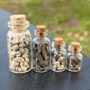 May include: Four small glass bottles with cork stoppers, each filled with different natural elements. The bottles are arranged in a row, decreasing in size. The contents include small stones and fragments, showcasing a collection of natural curiosities.