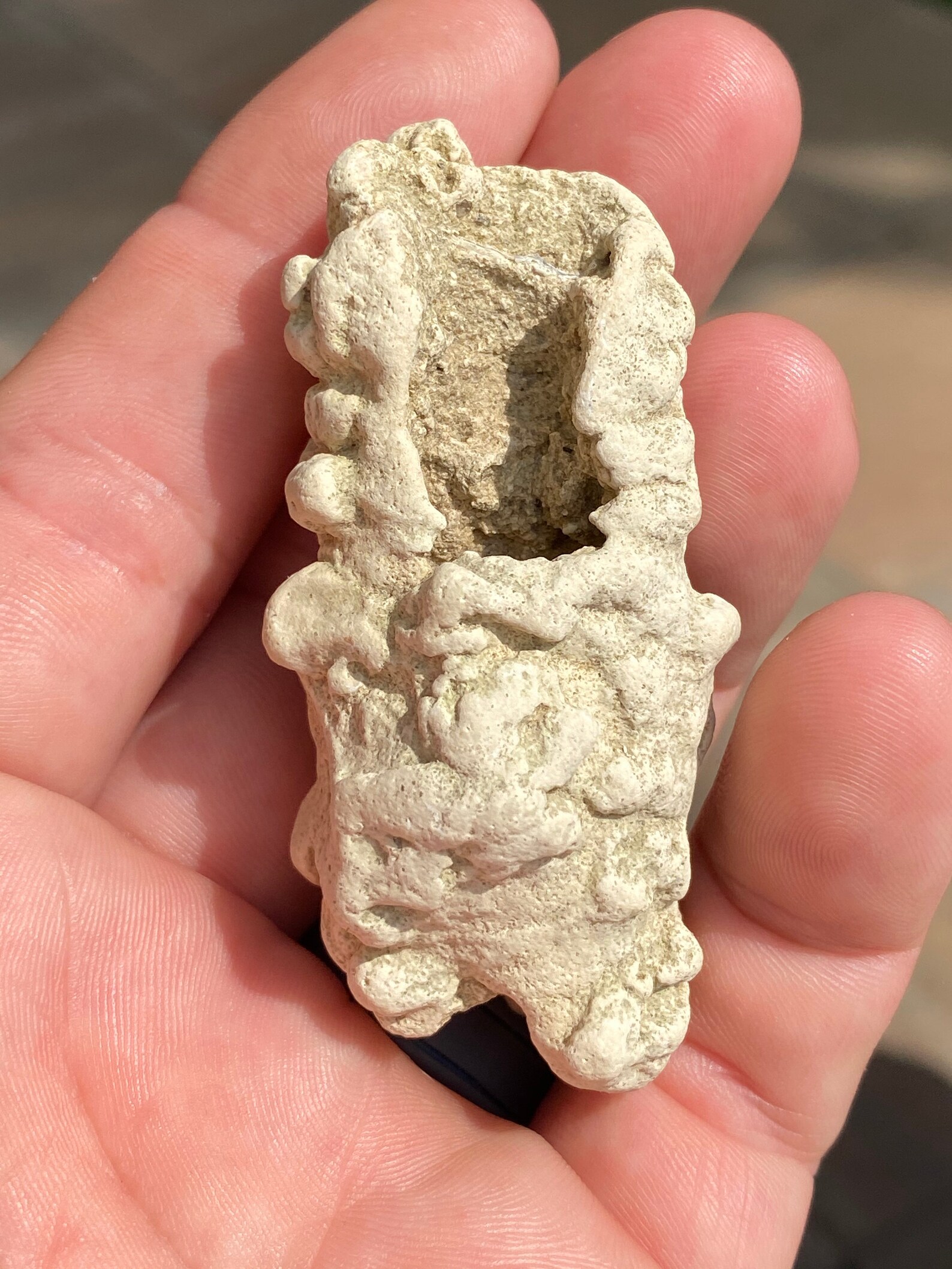 Fossil Burrow and Feeding Trace Fossil From Calvert Cliffs Etsy