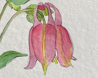 Pink Columbine Flower Original Watercolor Painting, Floral Artwork, 6x6in Botanical Garden Art, Bridal Shower Gift, Nature Wall Art