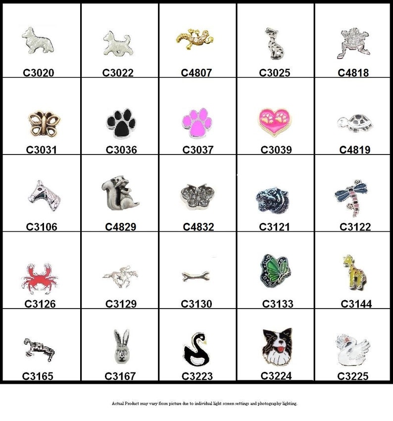 Floating Charms for your Floaiting Memory Lockets