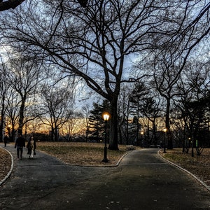 Central Park NYC Wall Art | Autumn Sunset Photography Print | Manhattan Skyline, Urban Nature, Twilight Dusk Home Decor