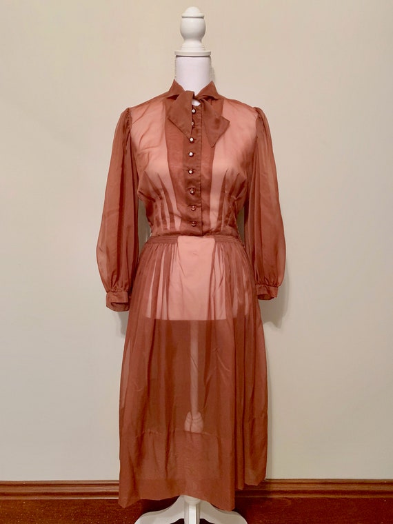 Vintage Brown Sheer Long Sleeve Rhinestone Button
