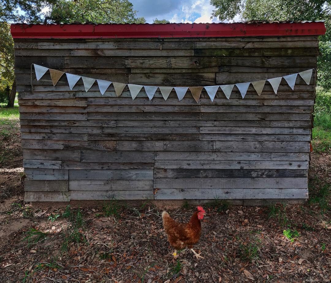 FREE S&H Sustainable party decorations. 100 upcycled fabric Etsy