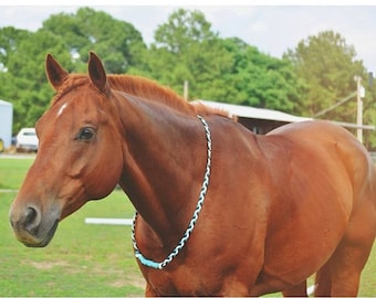 Custom Equine Riding Neck Rope for Tackless Riding