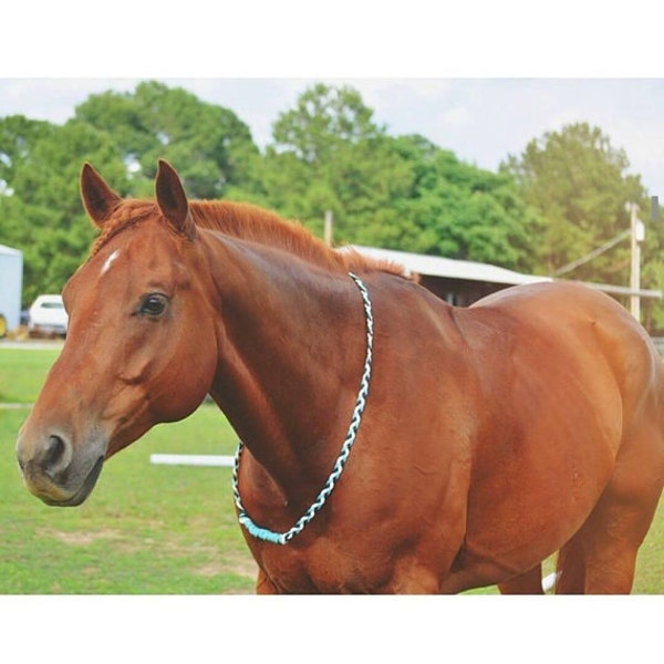 Cuerda de cuello de equitación equina personalizada para montar aparejos