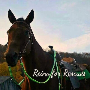 Custom Western Split Riding Reins