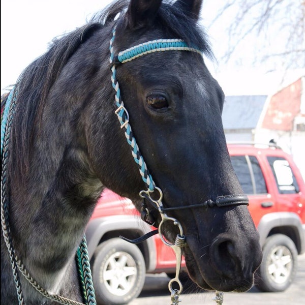 Custom Paracord Headstall with Matching Reins Option