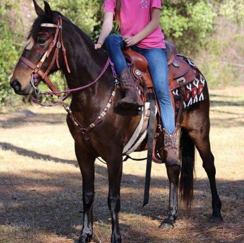Fuchsia /& Black Adjustable Riding Reins Hot Pink