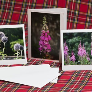 Scottish Floral Photo Notecards, Set of 3 Original Photographs of flowers in Scotland.