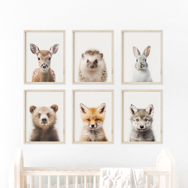 Woodland Animals Nursery Prints, Set of 6,  Forest Nursery Decor, Baby Animals Nursery Gift, Deer, Hedgehog, Rabbit, Bear, Fox, and Wolf