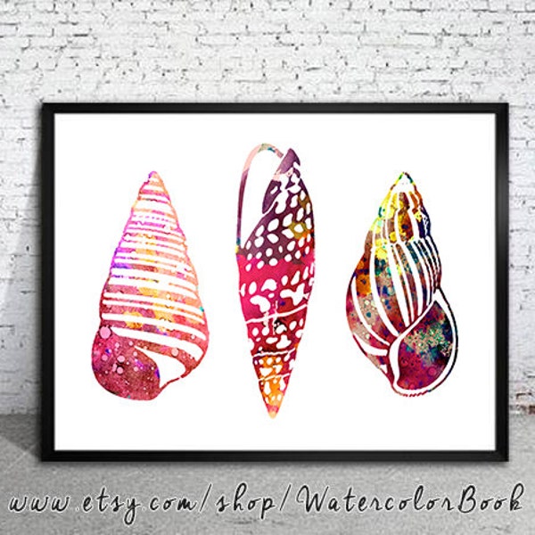 Sea Shell Prints - Etsy