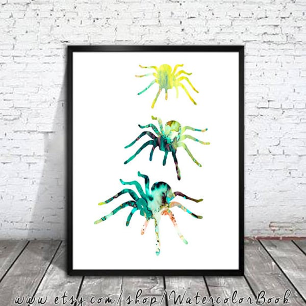 Tarantula print, Watercolor print, Art Print, Illustration, Art gifts, Wall decor