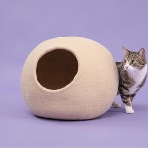 May include: A round, beige, felted cat cave with a large circular opening on the front. A brown and white tabby cat stands to the right of the structure, looking toward the left side of the frame with its ears pointed forward and whiskers visible.