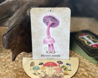 Mushroom Oracle/Tarot card holder