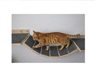 Hangende kattenbrug met tapijt