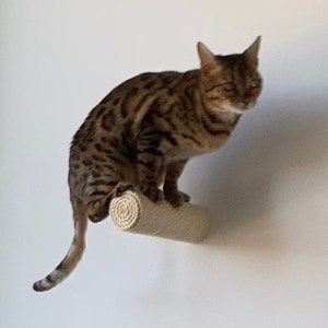 Sisal Climbing Step, Wall Post Stairs for Cats, Catwalk image 4