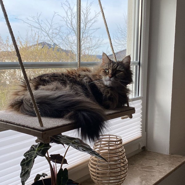 Cat Window Shelf, stage above the ledge