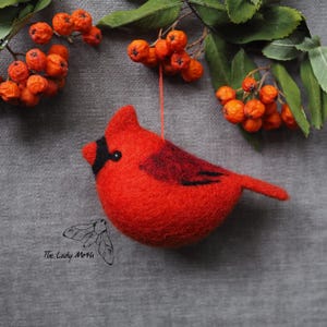 Nadelfilz Roter Kardinal Ornament Kit - beinhaltet Online Video Anleitungen & Zubehör - Von der Lady Moth