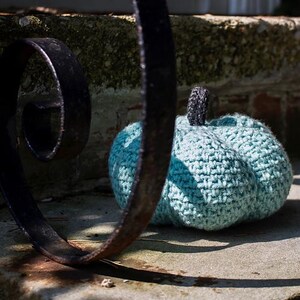 Op de afbeelding: Een tealblauwe gehaakte pompoen met een zwarte steel staat op een stenen trede. De pompoen is scherp, terwijl de achtergrond wazig is.
