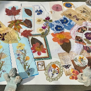 Assortiment d'étiquettes de fleurs et de feuilles, cartes pour fenêtre, bandeaux, signets, fleurs pressées pour carnets, cartes, scrapbooking, collage