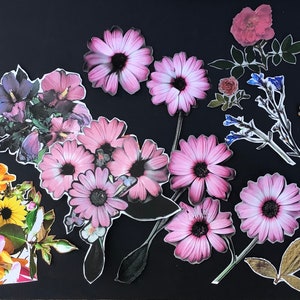 Fleurs de jardin : découpage rapide 132 images, certaines déjà coupées, prêtes pour votre carnet, étiquettes, techniques mixtes, etc.