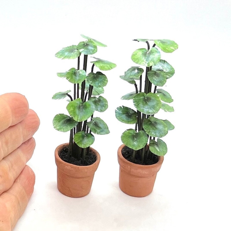 Miniature Plants - Etsy