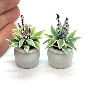 Miniature plant, hosta in bloom, handmade, 1:12 scale