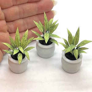 Miniature plant, Agloanema Silver Queen, 1/12 scale, 2 sizes