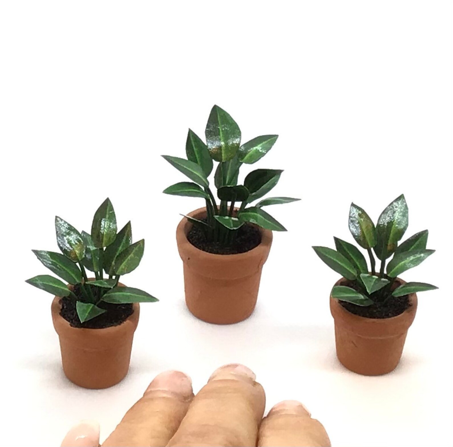Miniature plant Rubber plant handmade 1/12 scale Etsy