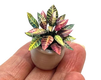 Planta en miniatura, Croton, hecha a mano, escala 1:12, 2 tamaños
