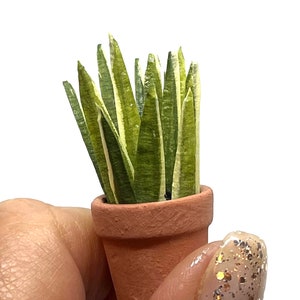 Miniature plant, Sanseviera, snake plant, handmade, 1/12 scale