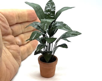 May include: Miniature potted plant with dark green leaves and a terracotta pot. The plant has multiple leaves and stems, and the pot is a light brown color. The plant is a small decorative item.