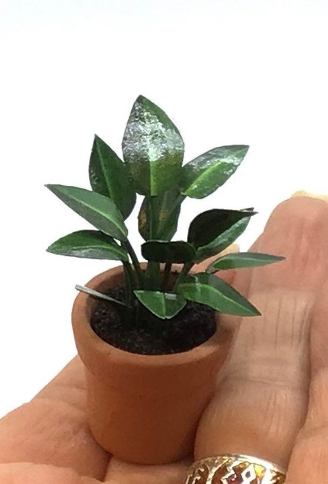 Miniature plant Rubber plant handmade 1/12 scale Etsy