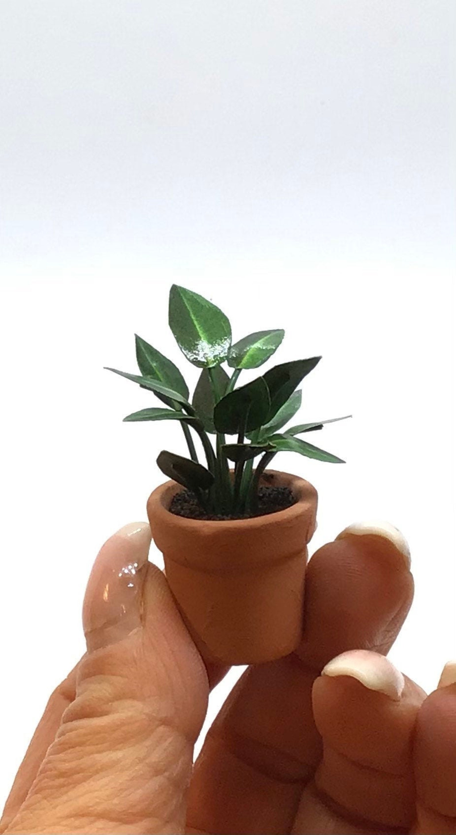 Miniature plant Rubber plant handmade 1/12 scale Etsy