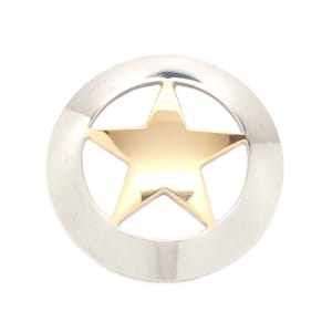 May include: A silver sheriff's star badge with a gold five-pointed star in the center.